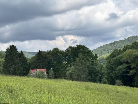 469 Karlan Road Pickens WV 26230