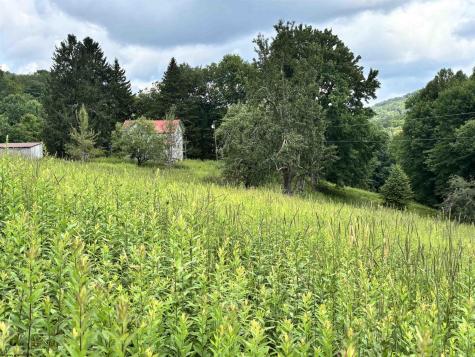 469 Karlan Road Pickens WV 26230