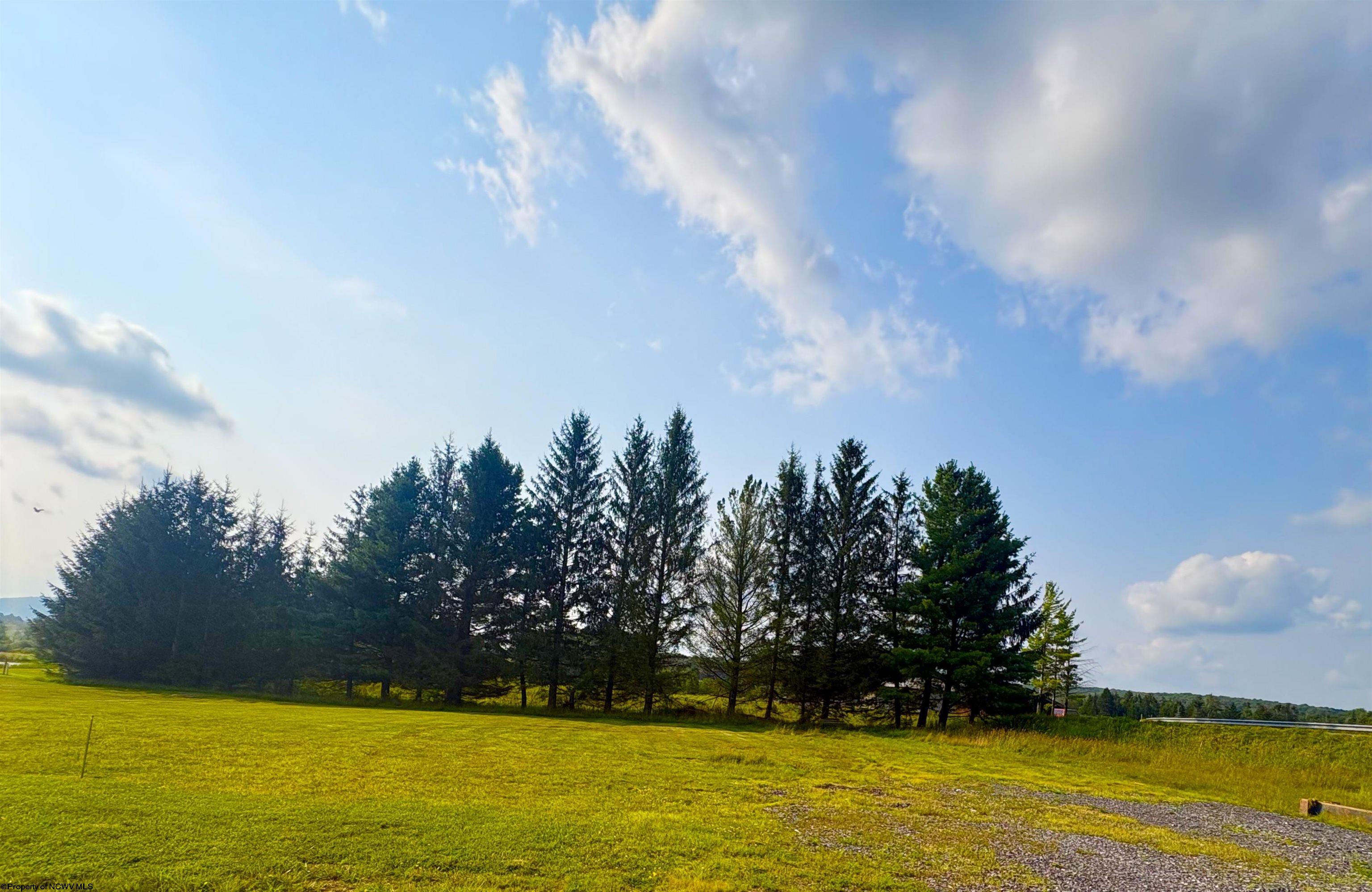 48 Penny Lane Davis WV 26260