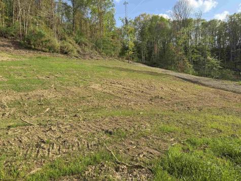 0 Lifes Run Road Jane Lew WV 26378