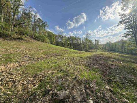 0 Lifes Run Road Jane Lew WV 26378