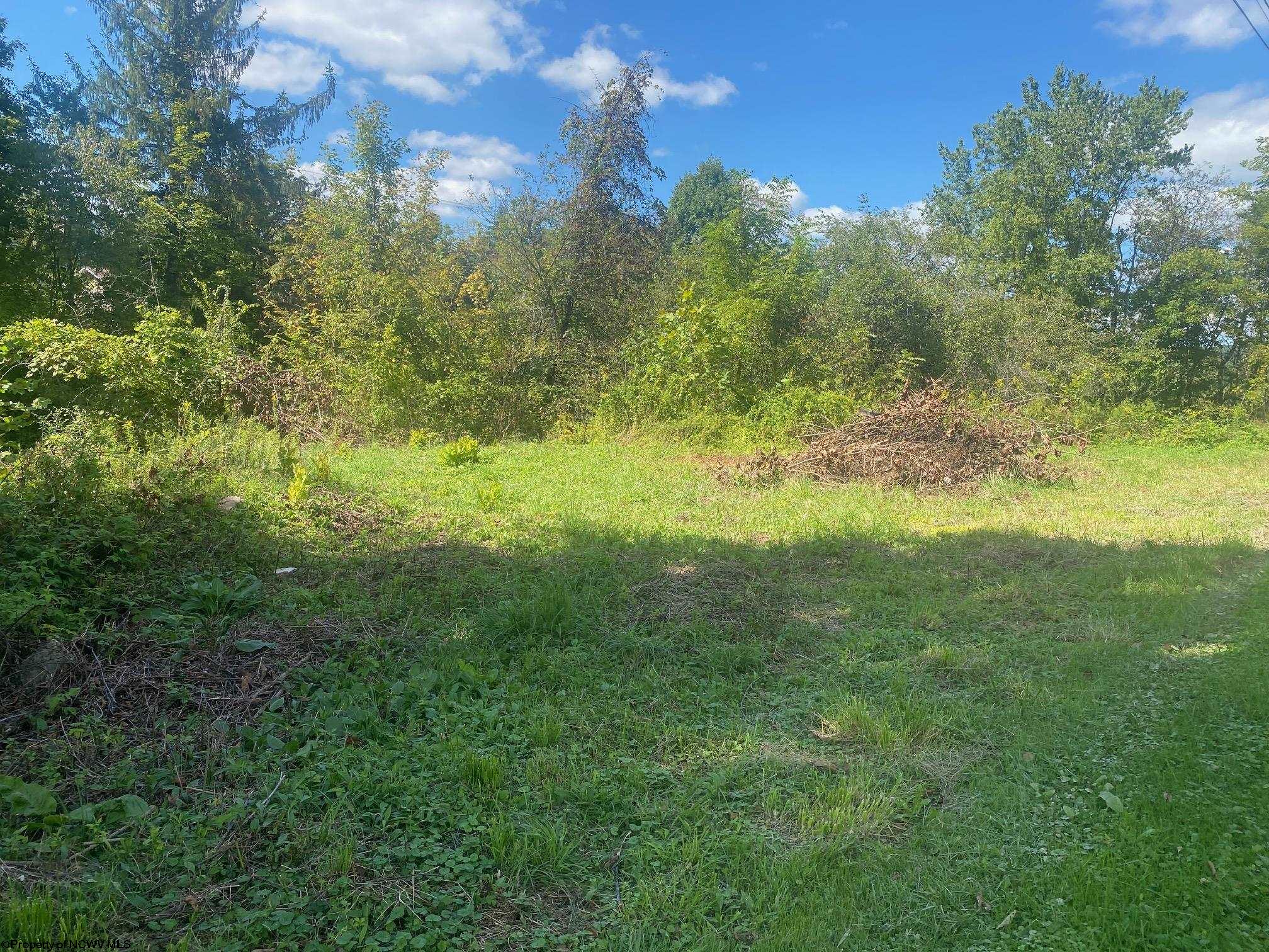 0 Linda Lane Elkins WV 26241
