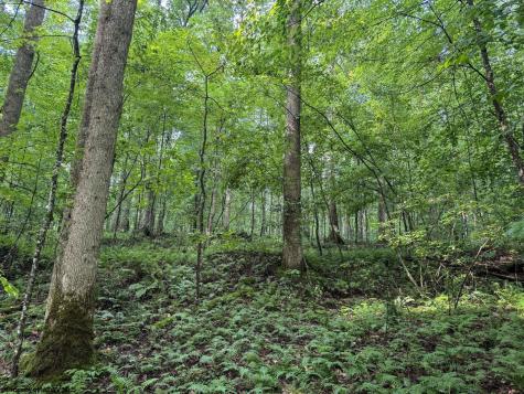 1 Hanging Run Road Belington WV 26250