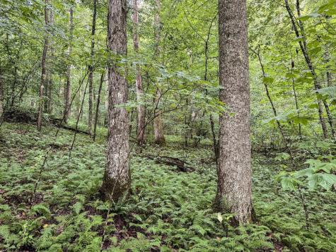 1 Hanging Run Road Belington WV 26250