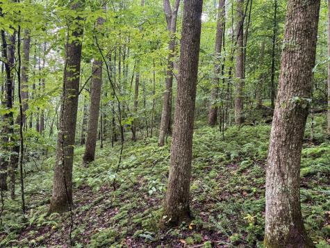 1 Hanging Run Road Belington WV 26250