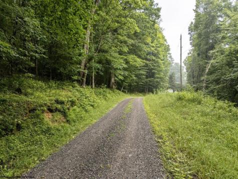 1 Hanging Run Road Belington WV 26250