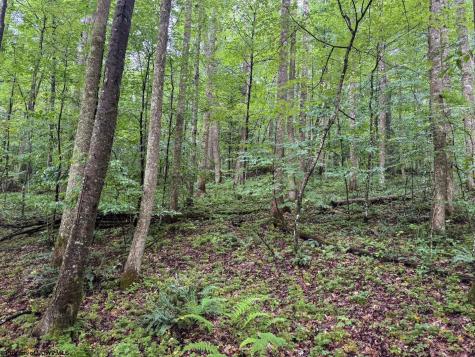 1 Hanging Run Road Belington WV 26250