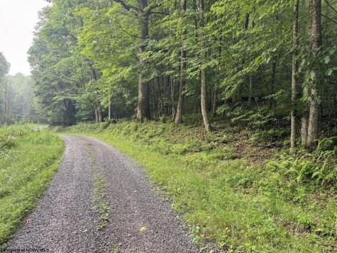 1 Hanging Run Road Belington WV 26250