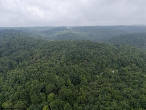 1 Hanging Run Road Belington WV 26250
