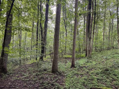 1 Hanging Run Road Belington WV 26250