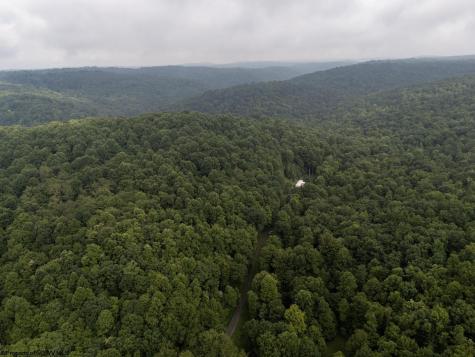 1 Hanging Run Road Belington WV 26250