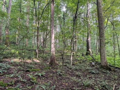 1 Hanging Run Road Belington WV 26250