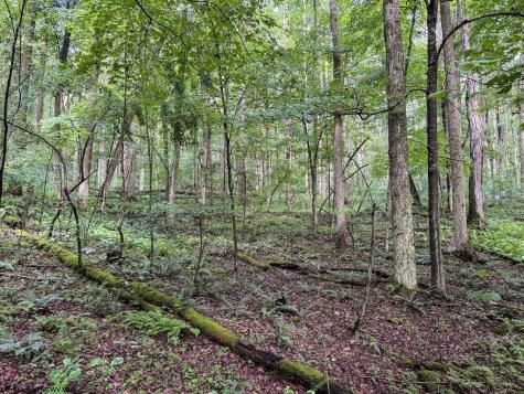 1 Hanging Run Road Belington WV 26250