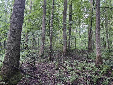 1 Hanging Run Road Belington WV 26250