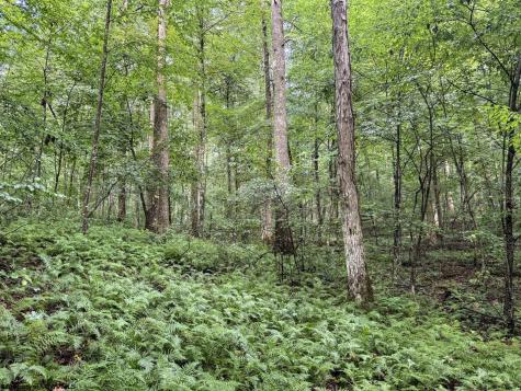 1 Hanging Run Road Belington WV 26250