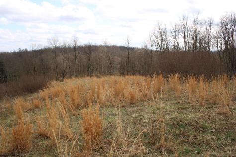 10 Cascade Ridge Masontown WV 26542