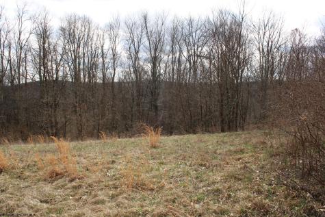 10 Cascade Ridge Masontown WV 26542