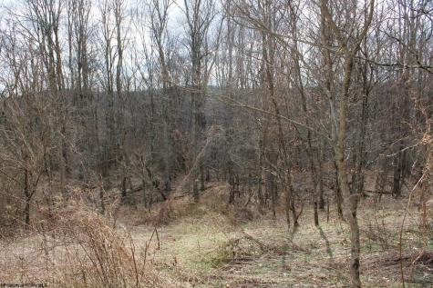 10 Cascade Ridge Masontown WV 26542