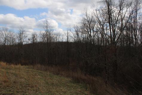 10 Cascade Ridge Masontown WV 26542