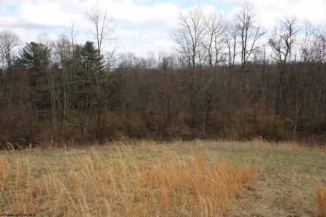 10 Cascade Ridge Masontown WV 26542