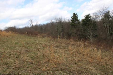 10 Cascade Ridge Masontown WV 26542