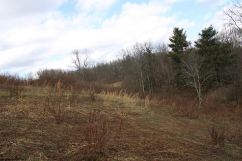 10 Cascade Ridge Masontown WV 26542