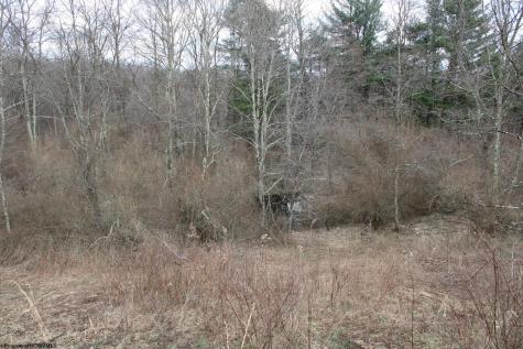 10 Cascade Ridge Masontown WV 26542