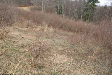 10 Cascade Ridge Masontown WV 26542