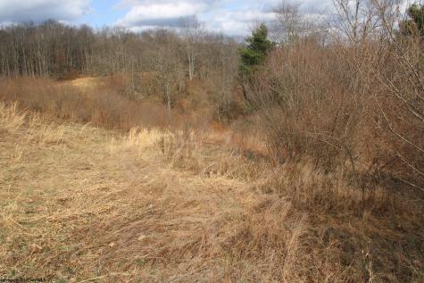 10 Cascade Ridge Masontown WV 26542