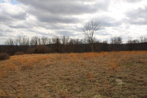 Lot 10 Cascade Ridge Masontown WV 26542