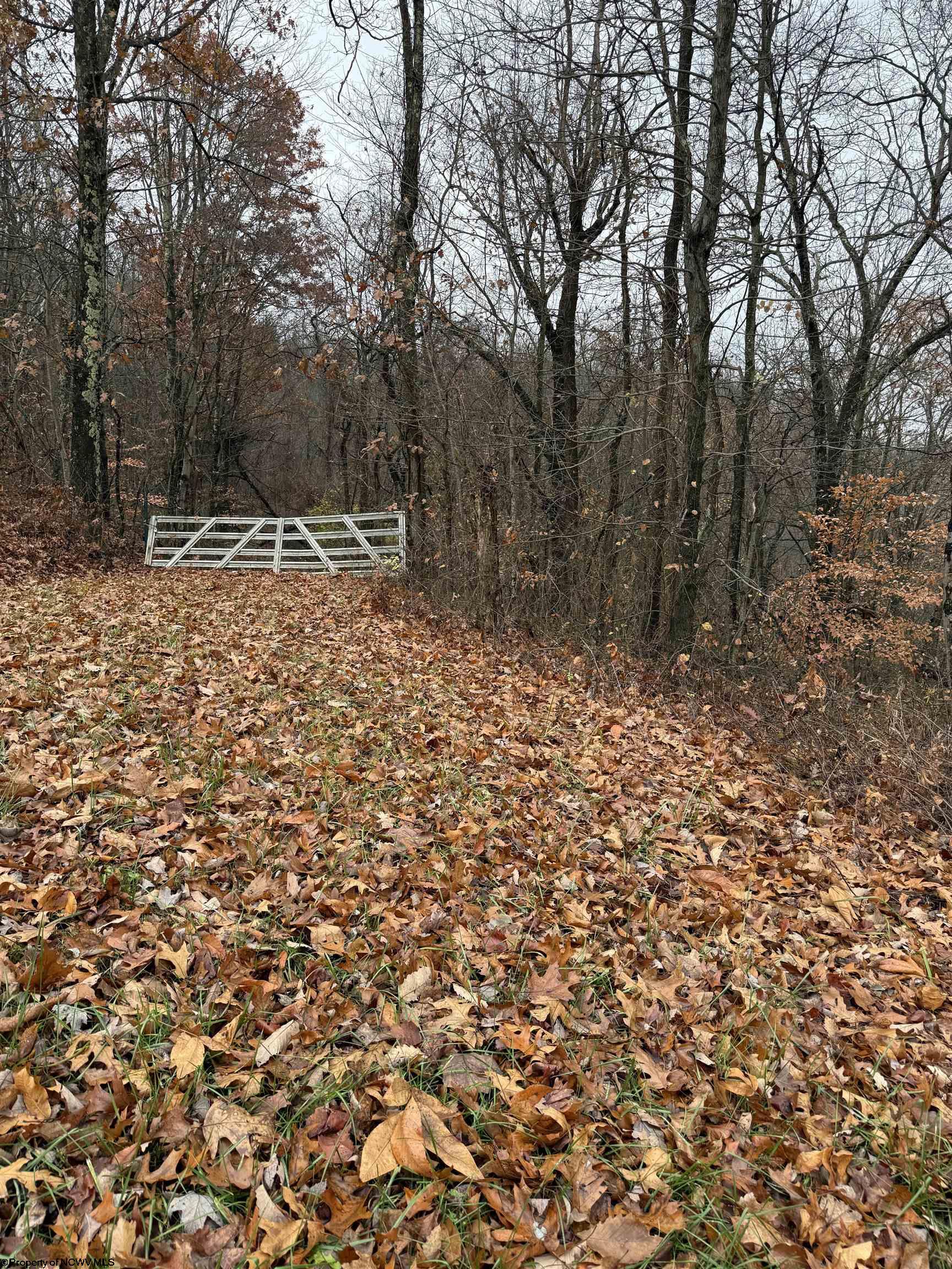 0 Cassville Mount Morris Road Morgantown WV 26508