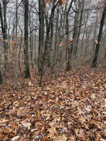 0 Cassville Mount Morris Road Morgantown WV 26508