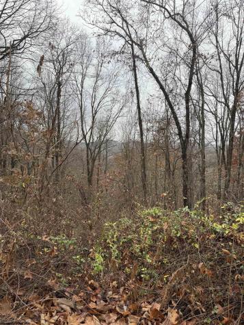 0 Cassville Mount Morris Road Morgantown WV 26508
