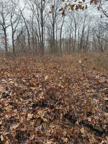 0 Cassville Mount Morris Road Morgantown WV 26508