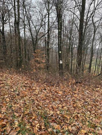 0 Cassville Mount Morris Road Morgantown WV 26508