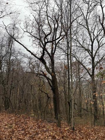 0 Cassville Mount Morris Road Morgantown WV 26508