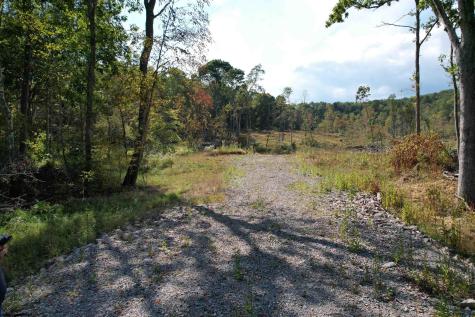 1 Hanlin Road Bruceton Mills WV 26525