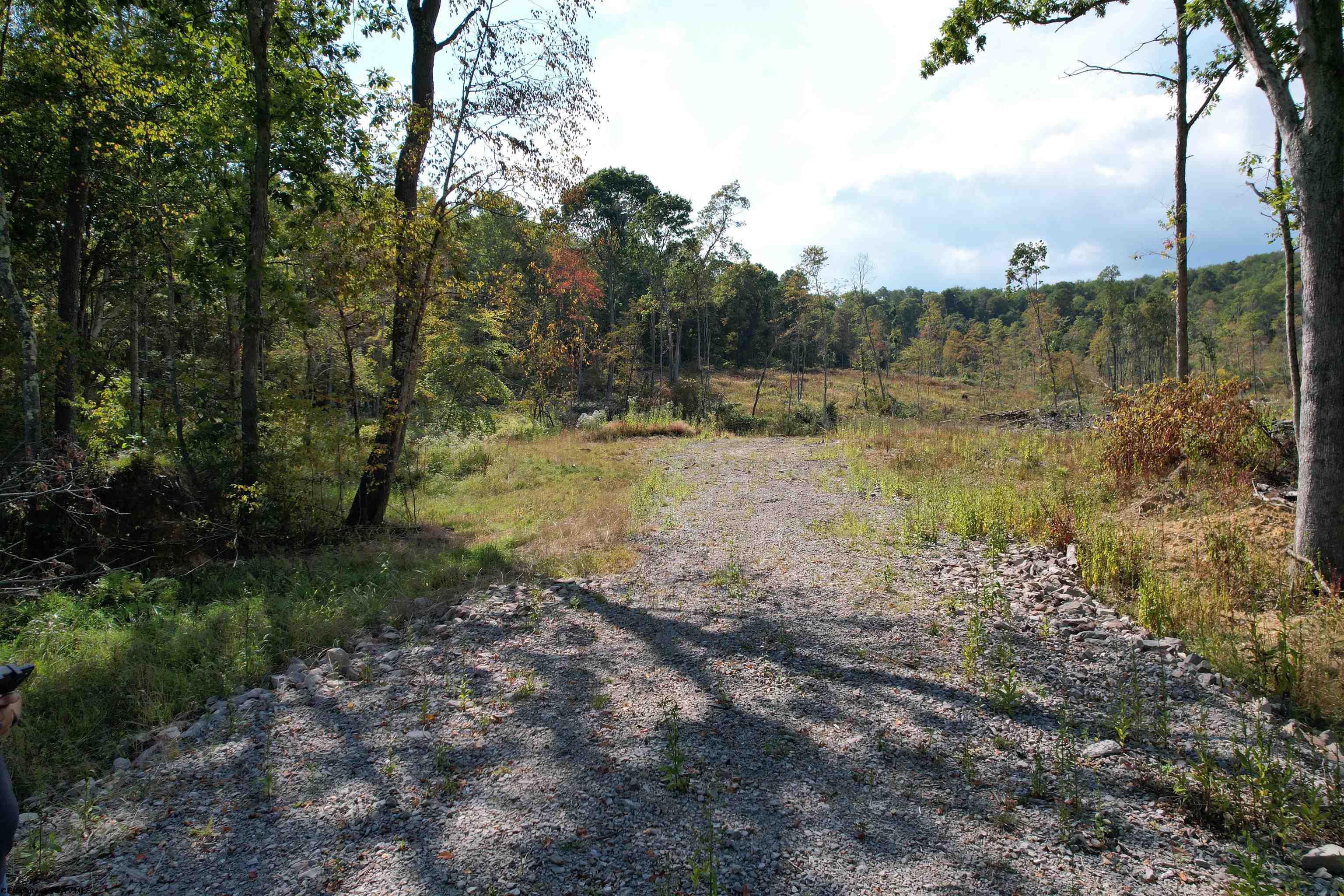 1 Hanlin Road Bruceton Mills WV 26525