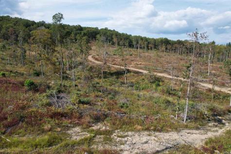 1 Hanlin Road Bruceton Mills WV 26525