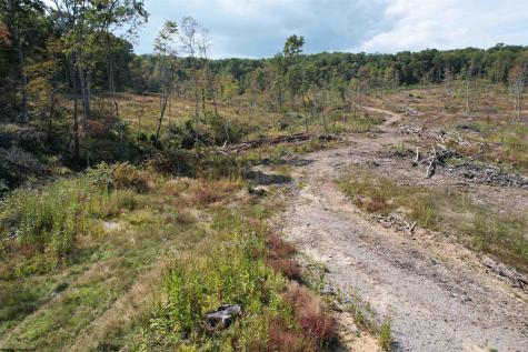 1 Hanlin Road Bruceton Mills WV 26525