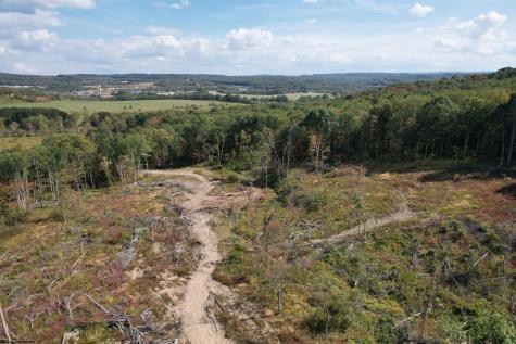 1 Hanlin Road Bruceton Mills WV 26525