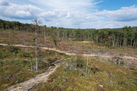 1 Hanlin Road Bruceton Mills WV 26525