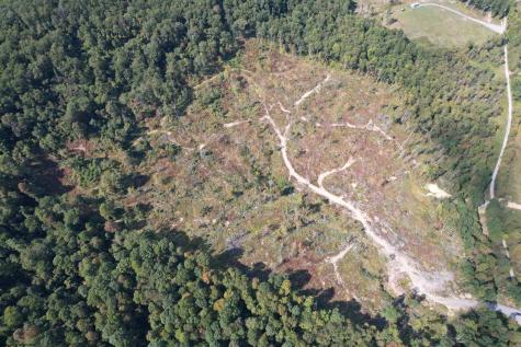 1 Hanlin Road Bruceton Mills WV 26525