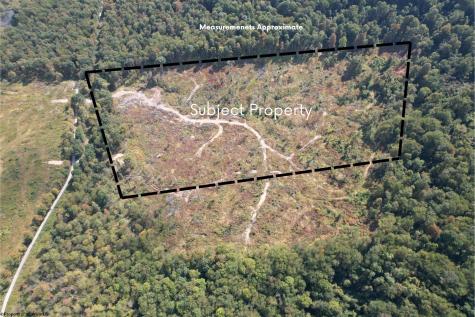 1 Hanlin Road Bruceton Mills WV 26525