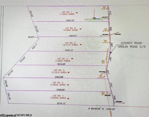 1 Hanlin Road Bruceton Mills WV 26525