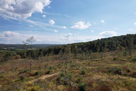 1 Hanlin Road Bruceton Mills WV 26525