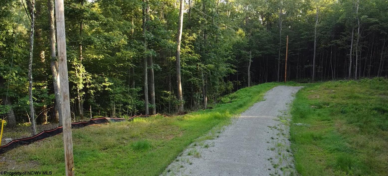 144 Spring Trail Bruceton Mills WV 26525