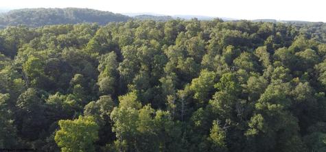 144 Spring Trail Bruceton Mills WV 26525