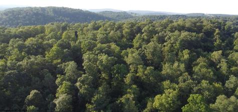 144 Spring Trail Bruceton Mills WV 26525