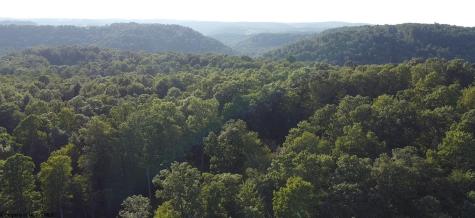 144 Spring Trail Bruceton Mills WV 26525